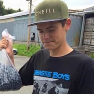 Meet your Posher, Fox